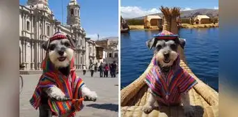 Recrean con IA la visita de perrito a lugares emblemáticos del Perú y el resultado enternece: "Un peruano más" Recrean con IA la visita de perrito a lugares emblemáticos del Perú y el resultado enternece: "Un peruano más"