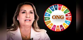 Colectivos de la sociedad civil piden al Gobierno de Dina Boluarte observar ley que somete a las ONG Colectivos de la sociedad civil piden al Gobierno de Dina Boluarte observar ley que somete a las ONG