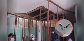 Videos muestran cómo los techos de la UNALM están a punto de colapsar: "Literalmente se está cayendo"
