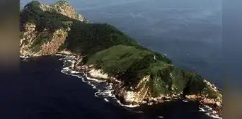 La peligrosa isla de Sudamérica donde solo viven miles de serpientes venenosas y está prohibida a las personas La peligrosa isla de Sudamérica donde solo viven miles de serpientes venenosas y está prohibida a las personas