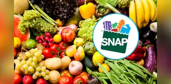 SNAP en Florida 2025: conoce cuándo y cómo renovar tu cupón para alimentos en abril SNAP en Florida 2025: conoce cuándo y cómo renovar tu cupón para alimentos en abril