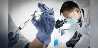 Científicos en China crean un “ascensor molecular” que multiplica por 150 la inmunidad contra cáncer y virus mutantes