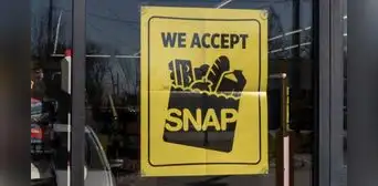 Estas son las personas elegidas de Florida que recibirán los pagos de cupones SNAP antes de quincena de abril Estas son las personas elegidas de Florida que recibirán los pagos de cupones SNAP antes de quincena de abril