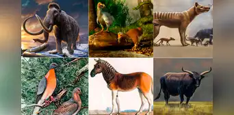 ¿La era de la desextinción? Científicos podrían devolver la vida a estas especies como hicieron con el 'lobo terrible' ¿La era de la desextinción? Científicos podrían devolver la vida a estas especies como hicieron con el 'lobo terrible'