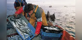 Gobierno entregó más de S/3 millones en créditos a pescadores artesanales y acuicultores desde enero a marzo de 2025 Gobierno entregó más de S/3 millones en créditos a pescadores artesanales y acuicultores desde enero a marzo de 2025