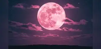 La Luna Rosa brillará en el cielo de Illinois: guía para disfrutar el evento astronómico de abril 2025 La Luna Rosa brillará en el cielo de Illinois: guía para disfrutar el evento astronómico de abril 2025