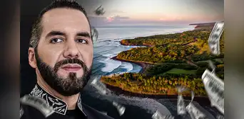 Nayib Bukele compró millonario terreno dentro de un área natural protegida de El Salvador, según investigación Nayib Bukele compró millonario terreno dentro de un área natural protegida de El Salvador, según investigación