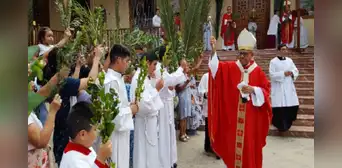 Domingo de Ramos 2025: ¿por qué se usan las palmas durante el inicio de la Semana Santa y cuál es su significado? Domingo de Ramos 2025: ¿por qué se usan las palmas durante el inicio de la Semana Santa y cuál es su significado?