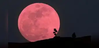 Esta es la sorprendente relación entre la luna llena rosa y Semana Santa: ¿cómo ver este fenómeno espacial?