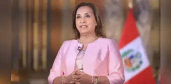 "Dina Boluarte es la culpable": expertos coinciden que presidenta es la responsable del incremento de la criminalidad "Dina Boluarte es la culpable": expertos coinciden que presidenta es la responsable del incremento de la criminalidad