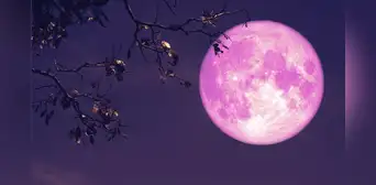 Luna Rosa 2025: dónde y a qué hora ver la luna llena este sábado 12 de abril en México
