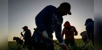 Sheinbaum desafía a Trump y asegura que inmigrantes mexicanos son clave para la economía de EEUU: "Nunca hay que perder, jamás"