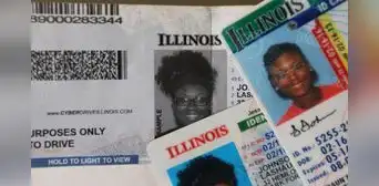 ¿No tienes la real ID en Illinois? Estos son los documentos alternativos que puedas usar antes de la fecha límite ¿No tienes la real ID en Illinois? Estos son los documentos alternativos que puedas usar antes de la fecha límite