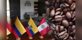 Dos países de Sudamérica son los mayores exportadores de café en el mercado de Estados Unidos, según OEC Dos países de Sudamérica son los mayores exportadores de café en el mercado de Estados Unidos, según OEC