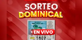 Lotería Nacional de Panamá EN VIVO, 13 de abril 2025: revisar resultados del Sorteo Dominical y números ganadores vía Telemetro