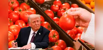Trump impone arancel del 20,91% a los tomates de México en Estados Unidos a partir de julio Trump impone arancel del 20,91% a los tomates de México en Estados Unidos a partir de julio