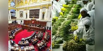 Congreso alista más beneficios tributarios: debatirán Ley Chlimper 2.0 y zonas económicas con 0% de impuesto Congreso alista más beneficios tributarios: debatirán Ley Chlimper 2.0 y zonas económicas con 0% de impuesto