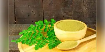 Esta poderosa planta de la India puede ayudarte a desintoxicar el hígado e intestino: ¿sabes cómo usarla correctamente? Esta poderosa planta de la India puede ayudarte a desintoxicar el hígado e intestino: ¿sabes cómo usarla correctamente?