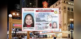 Real ID en Illinois: inmigrantes que podrán obtener el documento a solo US$5 si cumplen estos requisitos
