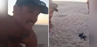 Joven evita que gaviotas ataquen a tortugas recién nacidas y genera debate en redes: "No hay que interferir"