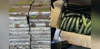 Texas: CBP incauta cargamento de metanfetamina valorado en US$14 millones oculto en chiles y pepinos provenientes de México