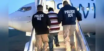 Green Card 2025: un residente permanente en USA puede ser deportado por estas razones