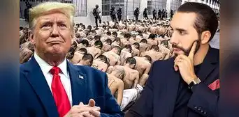 Bukele planea duplicar tamaño de la mayor cárcel de América Latina para albergar más deportados de Estados Unidos: alojaría a 80.000 personas Bukele planea duplicar tamaño de la mayor cárcel de América Latina para albergar más deportados de Estados Unidos: alojaría a 80.000 personas