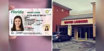 Licencia de conducir en Florida: estas son las faltas por las que FLHSMV te puede revocar el permiso
