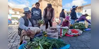 Hampi Rantikuy, la tradicional venta de plantas medicinales por Viernes Santo en Cusco Hampi Rantikuy, la tradicional venta de plantas medicinales por Viernes Santo en Cusco