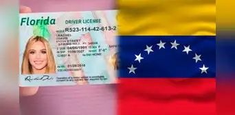 Licencia de conducir en Miami: inmigrantes venezolanos podrán recibir la tarjeta si cumplen con estos requisitos, según FLHSMV