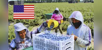 Esta región peruana concentra la mayoría de sus exportaciones hacia Estados Unidos como principal destino: estos son los productos más enviados