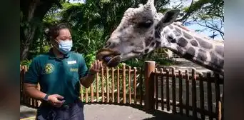 El zoológico más grande del mundo reúne a 2530 animales y necesitas 3 horas para visitarlo: no está en Estados Unidos