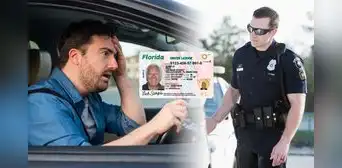 Vigente medida ambiental en Florida impone multas a los conductores que incumplan con requisito obligatorio