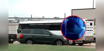 Autobuses del ICE que trasportaban inmigrantes para ser deportados tuvieron que dar vuelta tras decisión de Corte Suprema Autobuses del ICE que trasportaban inmigrantes para ser deportados tuvieron que dar vuelta tras decisión de Corte Suprema