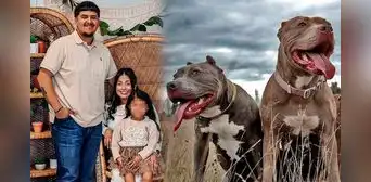 Niña muere en brutal ataque de 6 perros pitbulls cuando su niñera se desmayó: caninos fueron sacrificados en Indiana Niña muere en brutal ataque de 6 perros pitbulls cuando su niñera se desmayó: caninos fueron sacrificados en Indiana