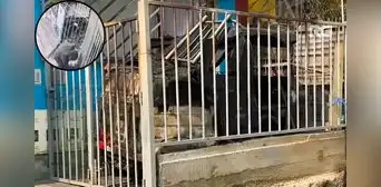 Delincuente quema mototaxi en Ate y deja mensaje extorsivo frente a vivienda en Huaycán Delincuente quema mototaxi en Ate y deja mensaje extorsivo frente a vivienda en Huaycán
