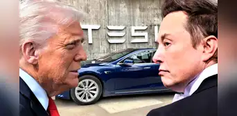 Tesla sufre desplome del 71% en beneficios netos: cercanía de Musk a Trump agrava crisis de imagen