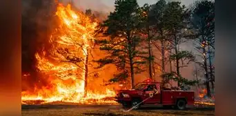 Incendio forestal en Nueva Jersey amenaza planta nuclear cerrada y provoca evacuaciones masivas y cortes de energía Incendio forestal en Nueva Jersey amenaza planta nuclear cerrada y provoca evacuaciones masivas y cortes de energía