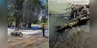 Hallan el cuerpo de joven en el río Chili: había sido reportada como desaparecida hace 14 días en Arequipa Hallan el cuerpo de joven en el río Chili: había sido reportada como desaparecida hace 14 días en Arequipa