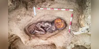 Hallazgo histórico en Perú: descubren tumba de una mujer de élite en la civilización más antigua de América