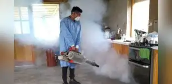 Lambayeque con 263 casos de dengue: brigadas intensifican fumigación y control vectorial Lambayeque con 263 casos de dengue: brigadas intensifican fumigación y control vectorial