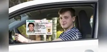Licencia de conducir en Florida: FLHSMV anuncia qué documentos presentar para obtener el brevete en 2025