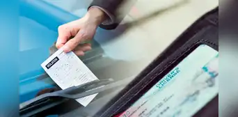Miami-Dade otorga licencias sin recargos: nueva campaña beneficiará a conductores del condado Miami-Dade otorga licencias sin recargos: nueva campaña beneficiará a conductores del condado