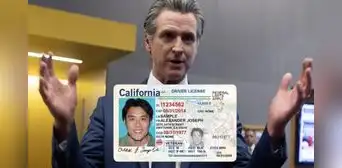 Nueva ley en California respaldada por Gavin Newsom autoriza que residentes e inmigrantes sin licencia de conducir trabajen en 2025