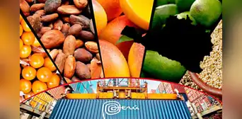Exportaciones regionales del Perú crecieron casi 30% en el primer bimestre de 2025