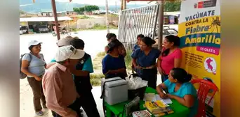 Fiebre amarilla: se registran 37 infectados y 12 muertos en lo que va del 2025 en Perú Fiebre amarilla: se registran 37 infectados y 12 muertos en lo que va del 2025 en Perú