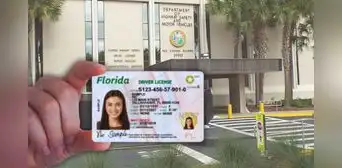 Licencia de conducir en Florida: tramita tu identificación en estas oficinas del FLHSMV