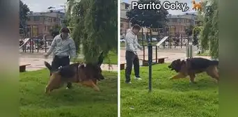Joven se reencuentra con su mascota después de 3 años y reacción del can es viral: “Nunca olvidan” Joven se reencuentra con su mascota después de 3 años y reacción del can es viral: “Nunca olvidan”