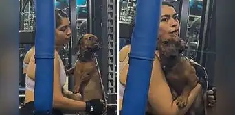 Joven llevó a su perrito al gimnasio y sorprende a usuarios con insólita razón: “Vio a su ex papá”