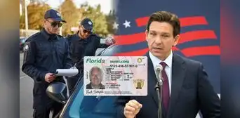 Florida: ley firmada por Ron DeSantis aumenta las penas a conductores que no cumplan con esencial requisito vehicular